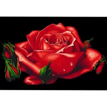 Gyémántszemes kirakó: Rózsa gyémántfestő szett 10×15 cm