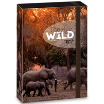 Ars Una: Máté Bence The Eyes of the Wild – Elefánt füzetbox A/4