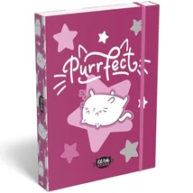 ICO: Lizzysuli Kittok stars cicás gumis füzetbox A/5