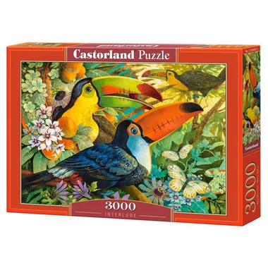 2001-6000 db-os puzzle