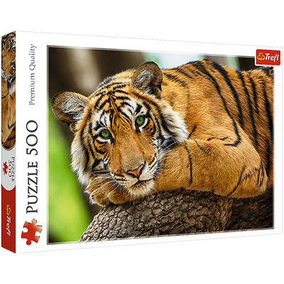 Tigris portré 500 db-os puzzle – Trefl