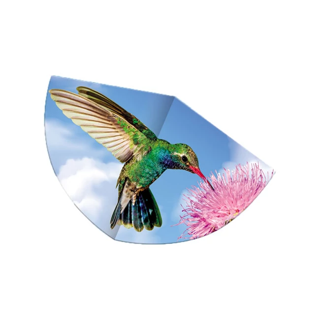 Kolibri sárkányrepülő