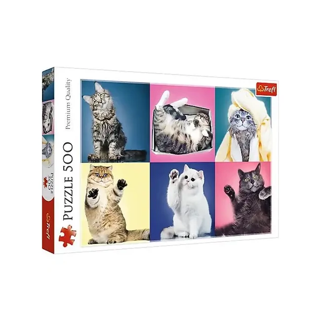 Cicák 500 db-os puzzle – Trefl