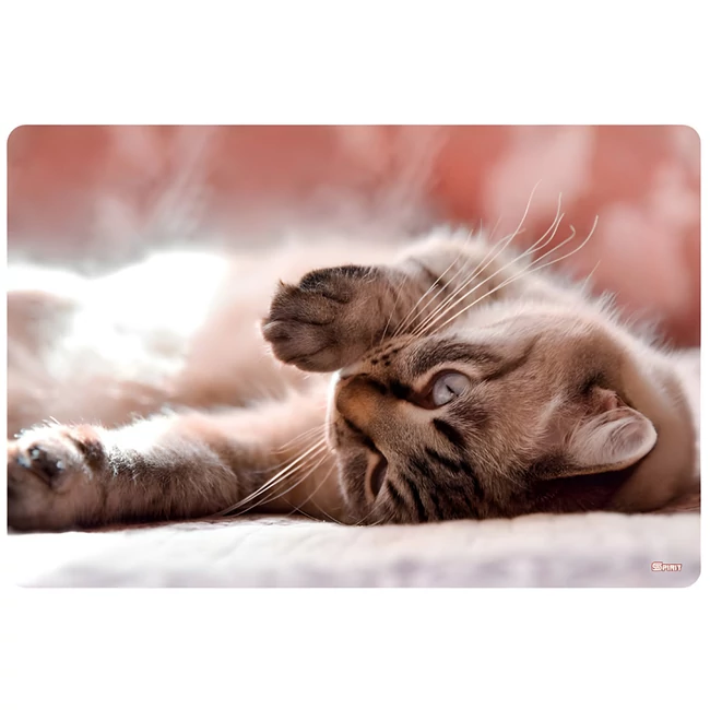 Spirit: Little Cat asztali könyöklő 60×40 cm