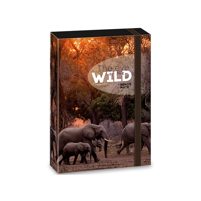 Ars Una: Máté Bence The Eyes of the Wild – Elefánt füzetbox A/4