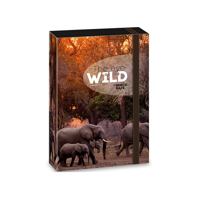 Ars Una: Máté Bence The Eyes of the Wild elefántos füzetbox A/5