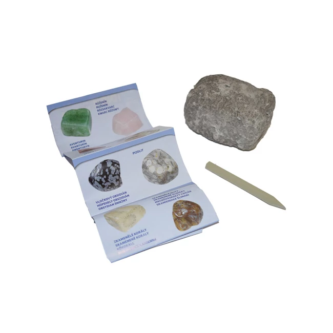 Minerals &amp; Fossils meglepetés kőzet