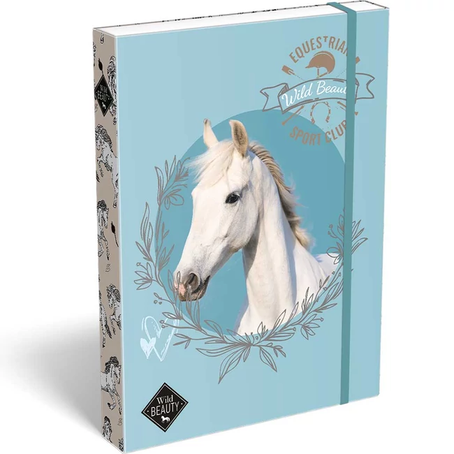 ICO: Lizzysuli Wild Beauty Sport Club mintás füzetbox A/4