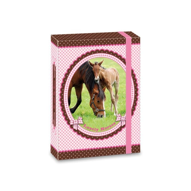 My Horse füzetbox A5-ös