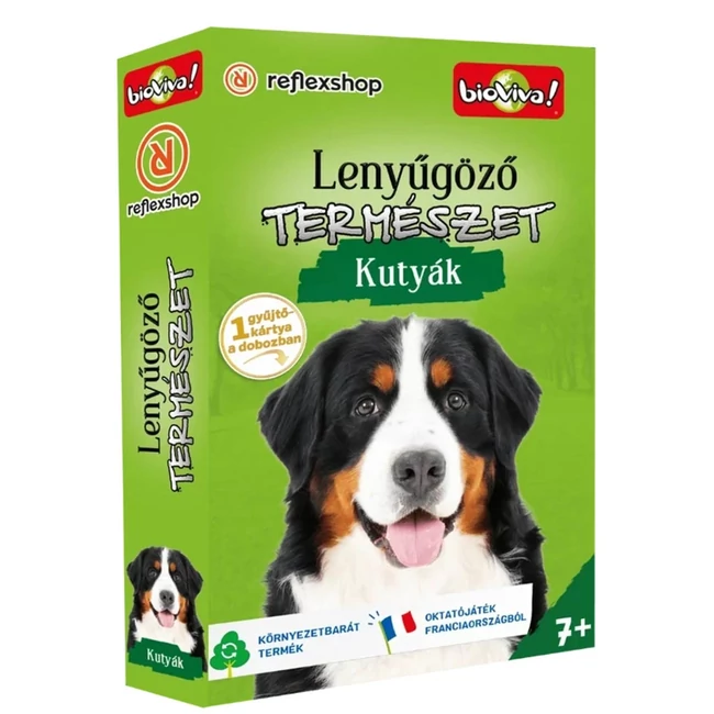 Lenyűgöző természet – Kutyák kártyajáték