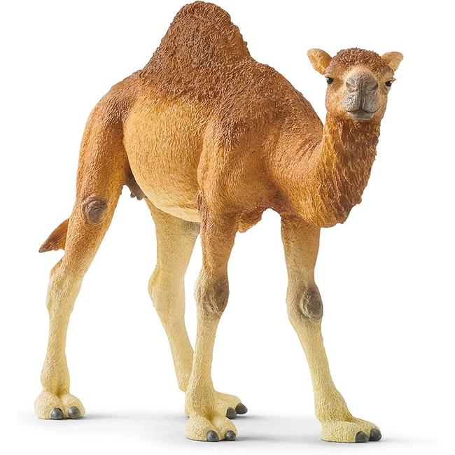 Schleich: Dromedár figura (14832)