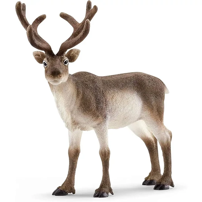 Schleich: Rénszarvas figura (14837)