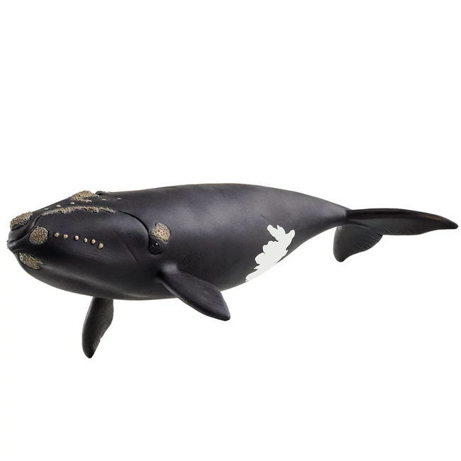 Schleich: Észak-atlanti bálna figura (14878)